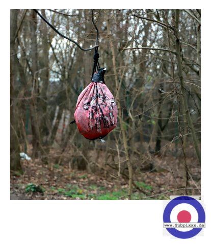 Serie - BERLIN23 - Teufelsberg - 1. Januar 2023 (22).JPG